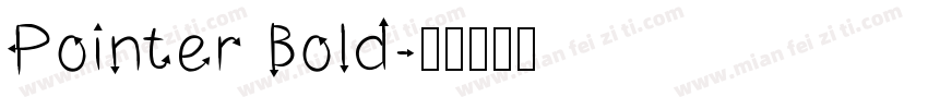 Pointer Bold字体转换